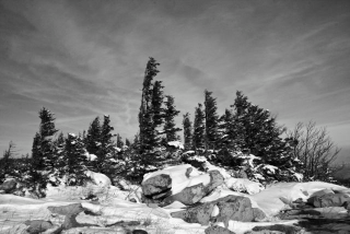 Illustration for article titled Shooting Challenge: Gray Winter